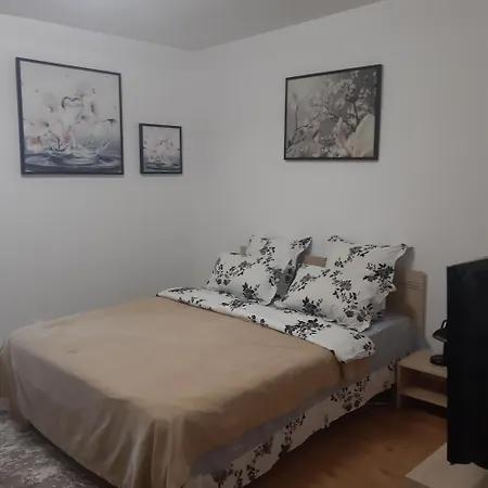 Apartment Studio Lorena Bucharest
